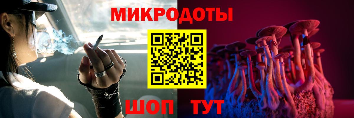 Псилоцибиновые грибы ЛСД  Вход с VPN  Ставрополь  Галлюциногенные грибы GOLDEN TEACHER 